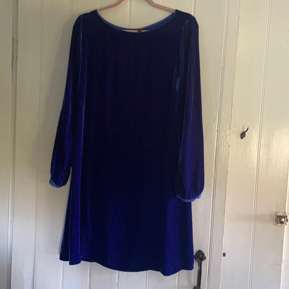 Eileen fisher blue velvet dress